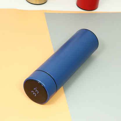 Temperature Display Bottle